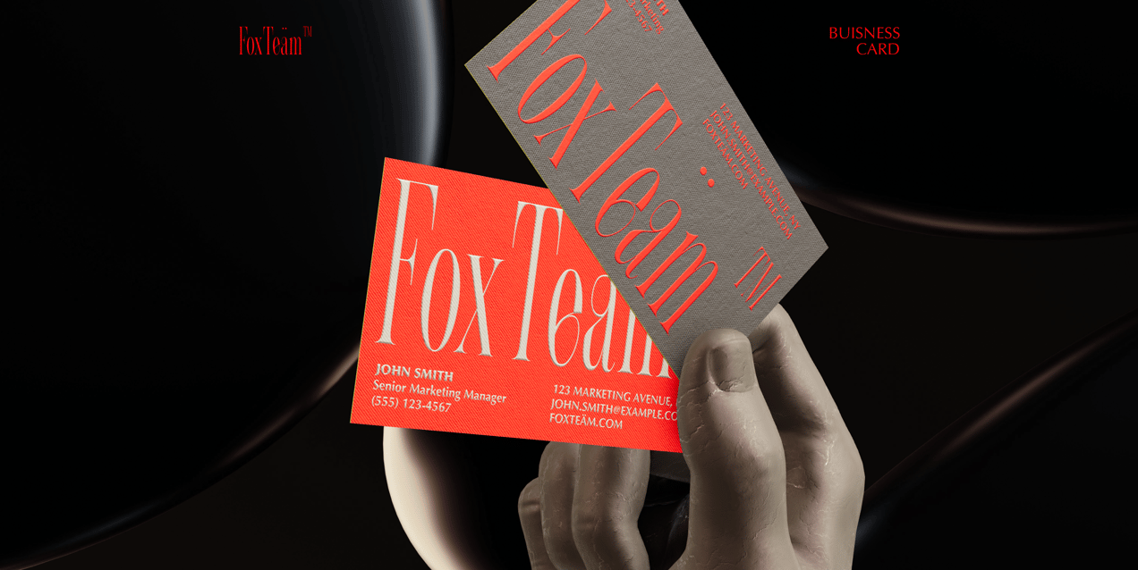 ProVisual — Business Card Mockup 3D mockup