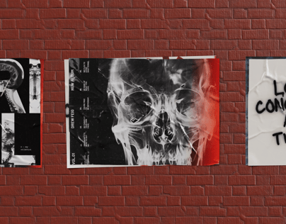 ProVisual — Poster Mockup 3D mockup