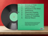 Vinyl Record 3D mockup. Create presentations using Online Mockup Generator.