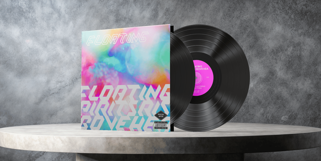 ProVisual — Vinyl Record Mockup 3D mockup