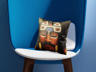 ProVisual — Square Couch Pillow 3D mockup and 3D model - explore every detail now