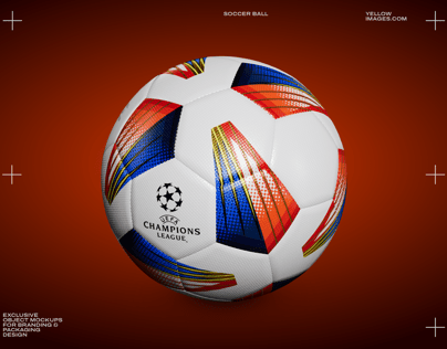 ProVisual —  Soccer Ball 3D mockup and 3D model - explore every detail and customize online now