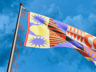 ProVisual —  Flag 3D mockup and 3D model - try it now and get yours today