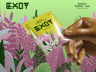 Sachet with Hand. 3D model. ProVisual.