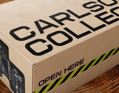 ProVisual — Corrugated Cardboard Box 3D mockup and 3D model - try it now and get yours today