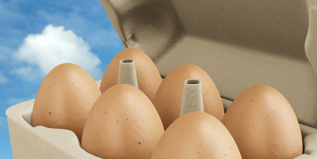 Opened  6 Egg Carton Box. 3D model. ProVisual. 