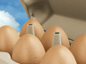 Opened  6 Egg Carton Box. 3D model. ProVisual. 