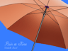 Free Umbrella Mockup 3D mockup. Create presentations using Online Mockup Generator.