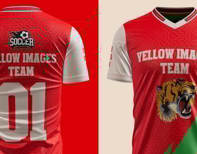 Jersey 3D Mockup and 3D Model. Edit online. ProVisual.