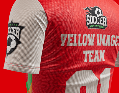 Jersey 3D Mockup and 3D Model. Edit online. ProVisual.