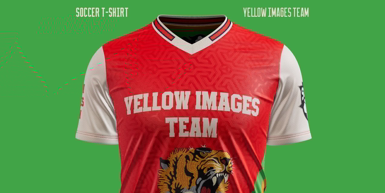 Jersey 3D Mockup and 3D Model. Edit online. ProVisual.