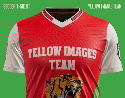 Jersey 3D Mockup and 3D Model. Edit online. ProVisual.