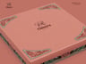 ProVisual — Box 3D mockup and 3D model - see every detail and customize online