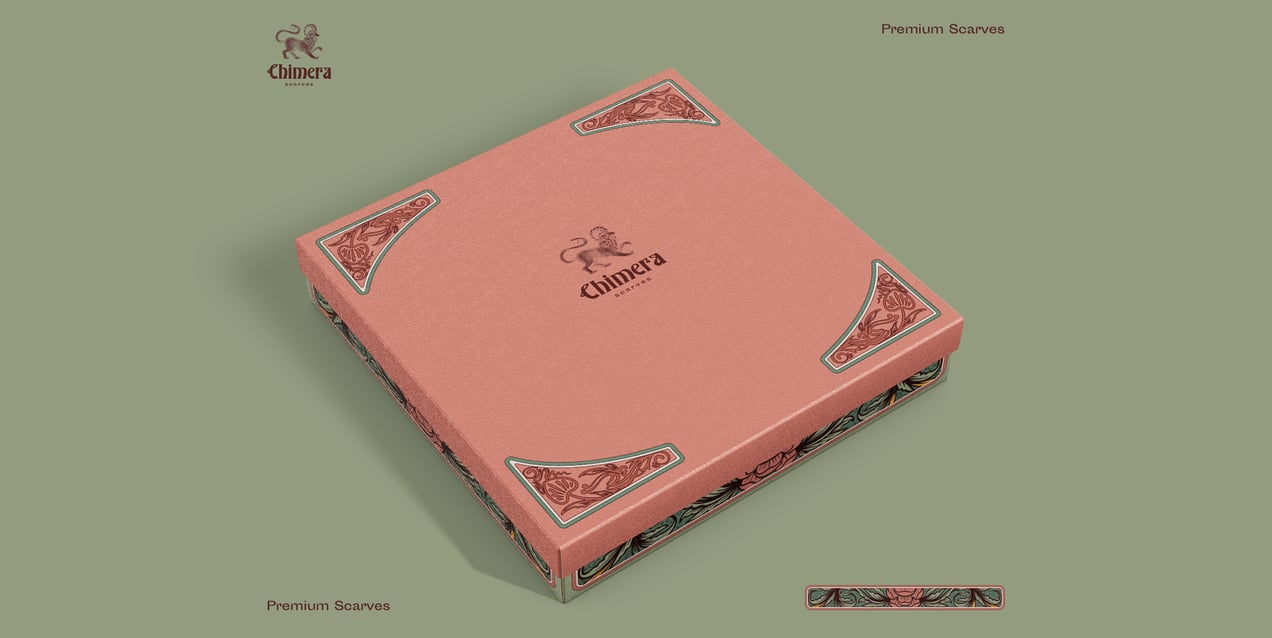 ProVisual — Box 3D mockup