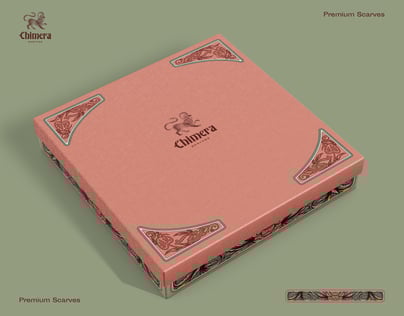 ProVisual — Box 3D mockup