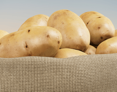 Sack with Potatoes. 3D model. ProVisual.