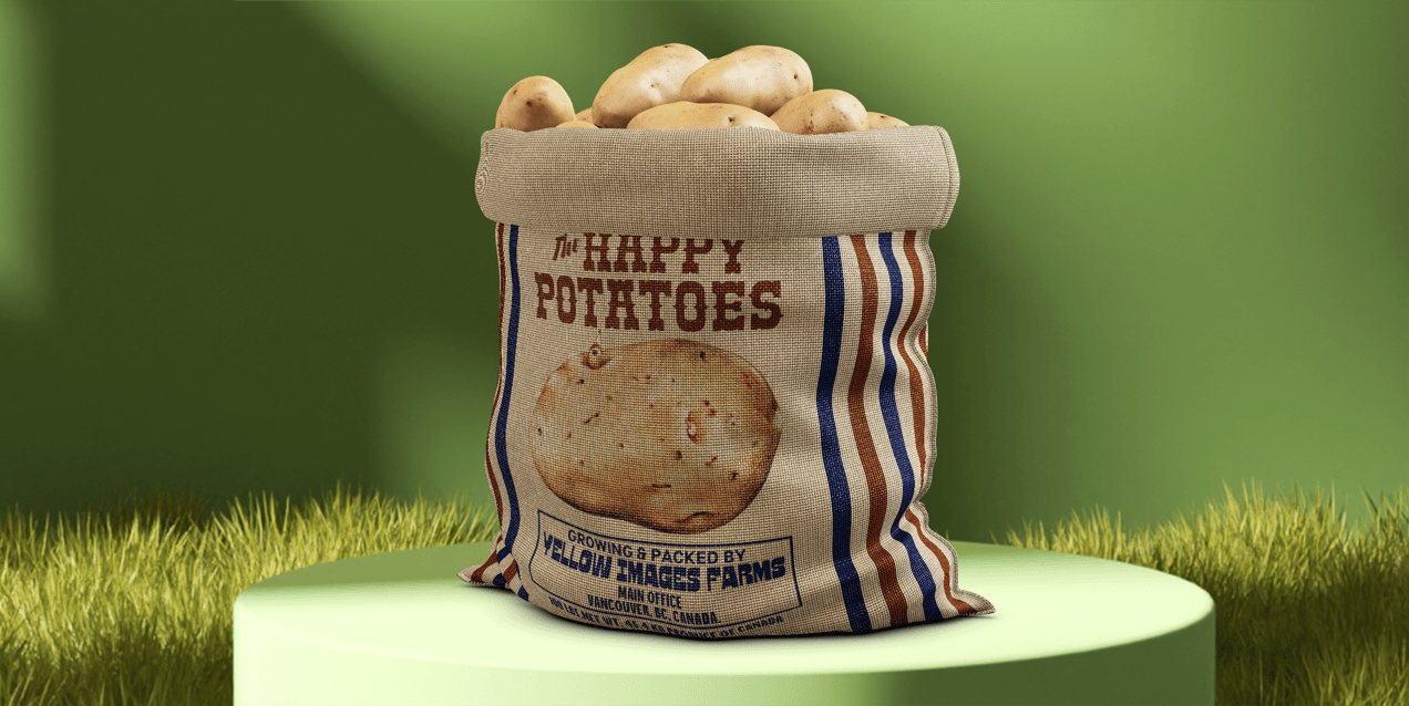 Sack with Potatoes. 3D model. ProVisual.