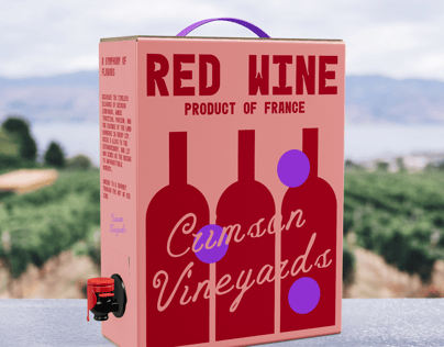ProVisual — Carton Box with Wine Dispenser 3D mockup