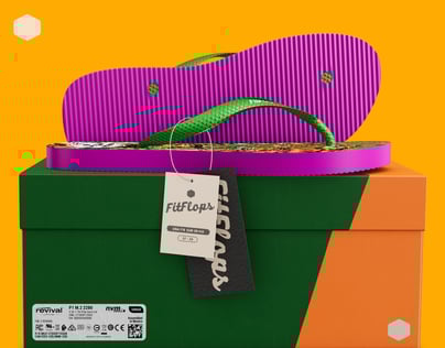 ProVisual — Flip Flops with Box 3D mockup