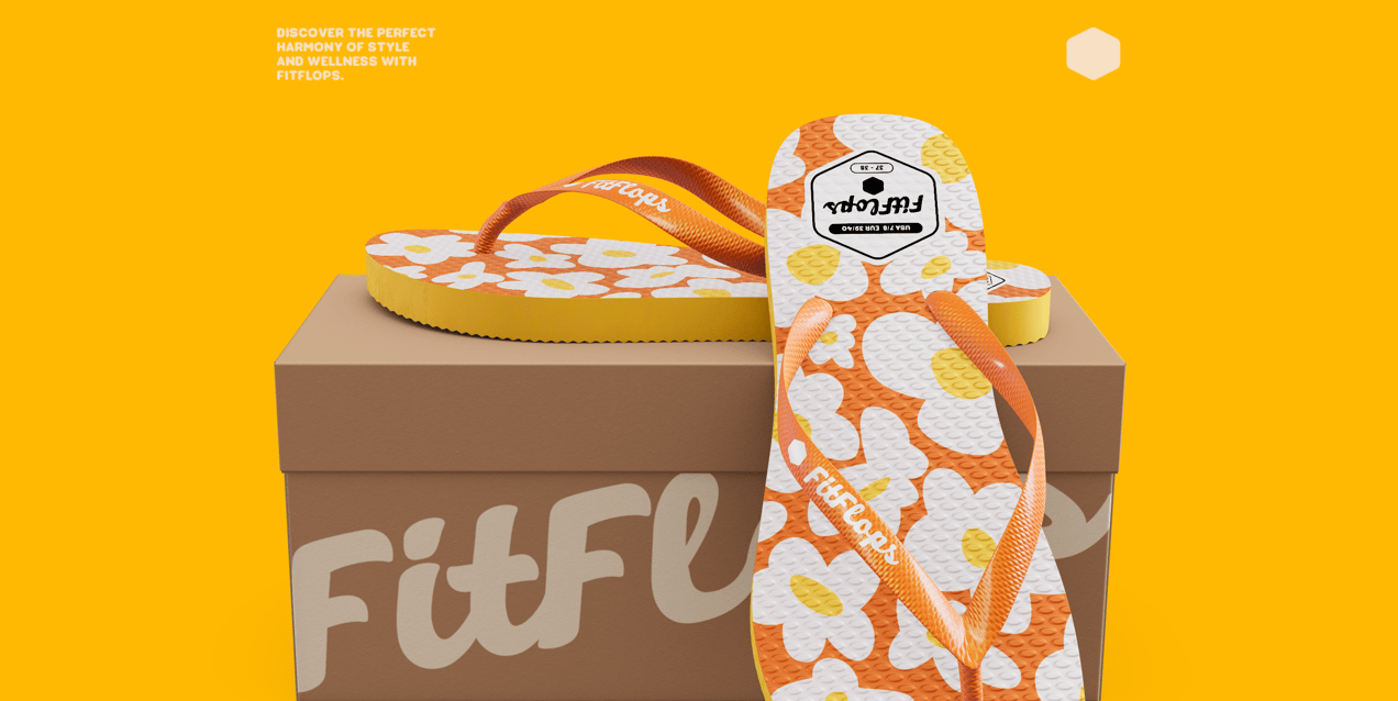 ProVisual — Flip Flops with Box 3D mockup