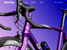 Bike Mockup and 3D Model. Road Universal Bicycle. ProVisual.
