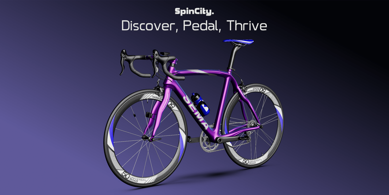 Bike Mockup and 3D Model. Road Universal Bicycle. ProVisual.