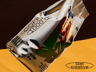 ProVisual —  Coffee Bag 3D mockup and 3D model -  try it now and get yours today