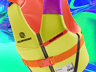 ProVisual —  Life Vest 3D mockup and 3D model -  try it now and get yours today