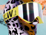 ProVisual — Ski Goggles 3D mockup and 3D model - see every detail and customize online
