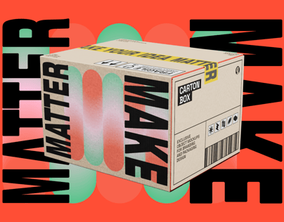 ProVisual — Cardboard Box 3D mockup